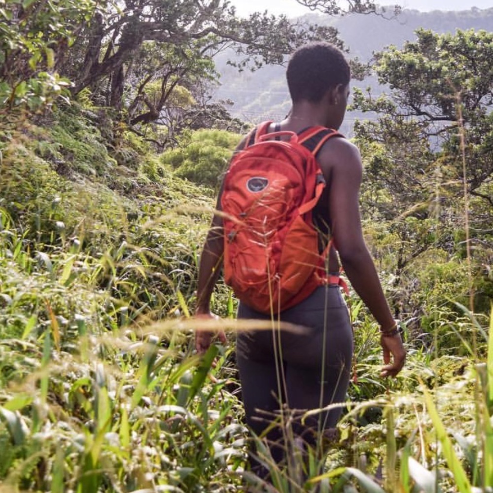 OSPREY DAY PACK